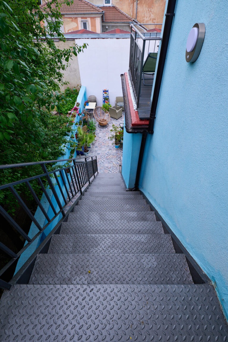 DSC_2447